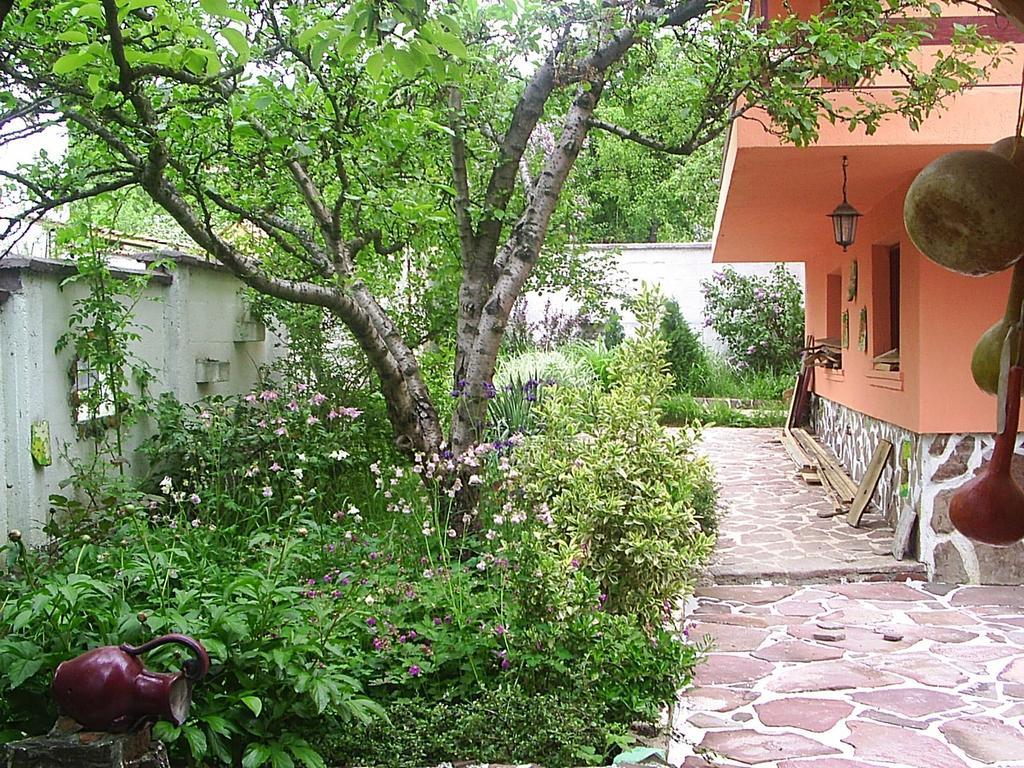 Hadjibulevata Guest House Kovachevtsi Exteriér fotografie